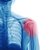 Physio Med Appointed to Help Musicians Keep Their Bodies in Tune