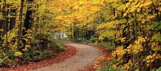 Keeping Active When the Leaves are Brown