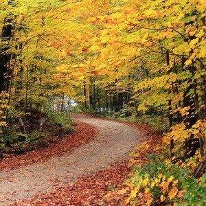 Keeping Active When the Leaves are Brown