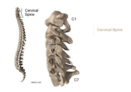 Neck 3